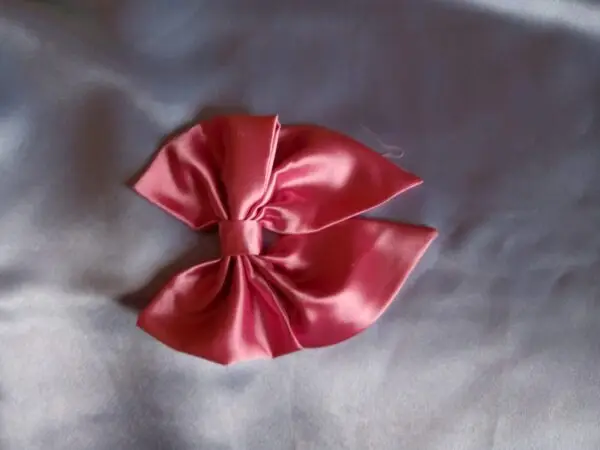 Awesome Bow Clip | Hair AC Accessories - Image 4